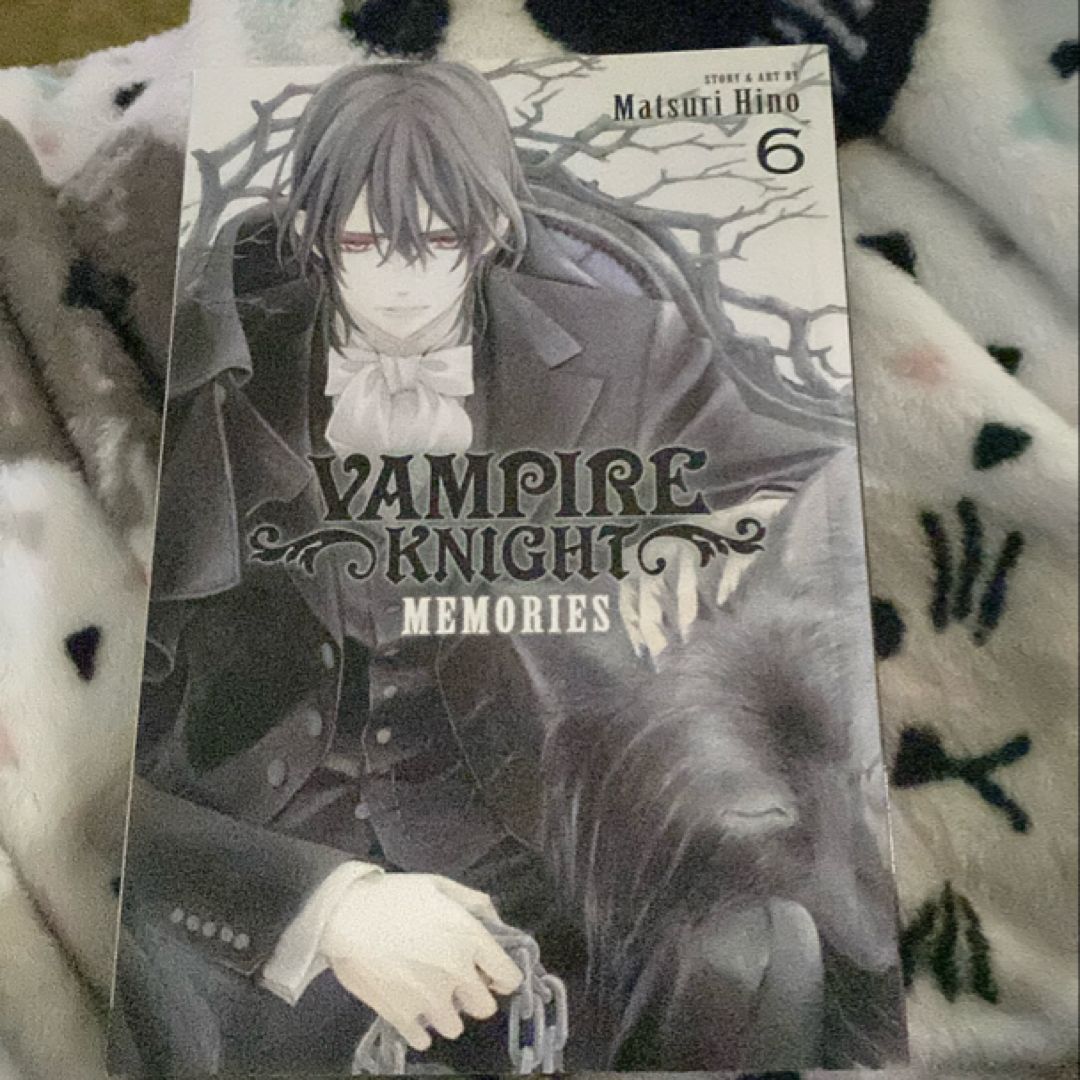 Vampire Knight: Memories, Vol. 6