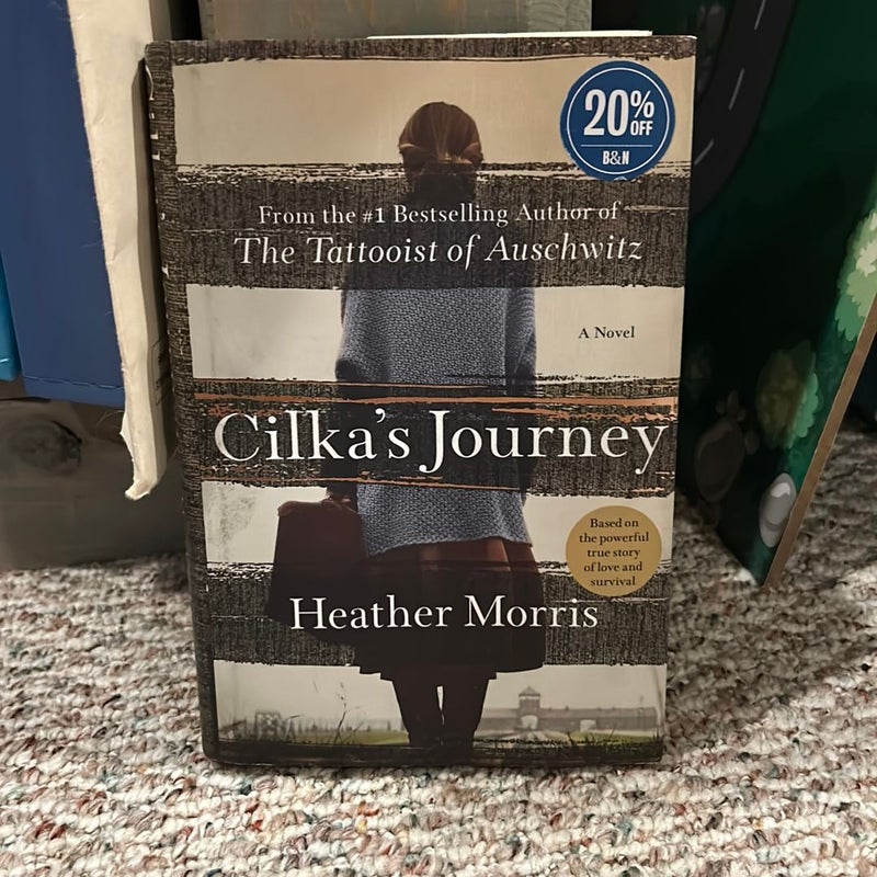 Cilka's Journey