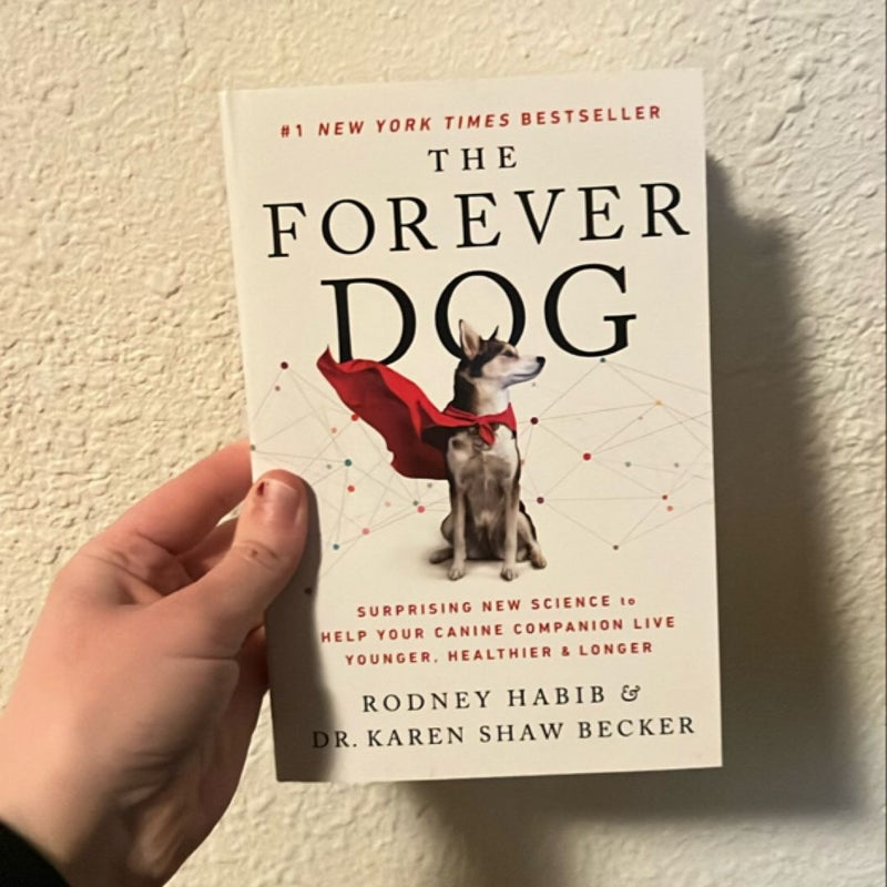 The Forever Dog