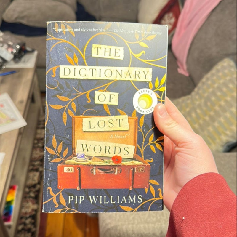 The Dictionary of Lost Words