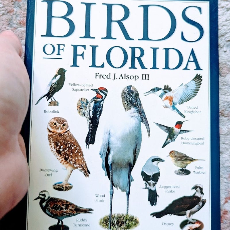 Birds of Florida