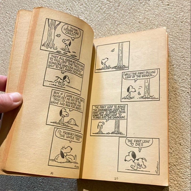 Charlie Brown 