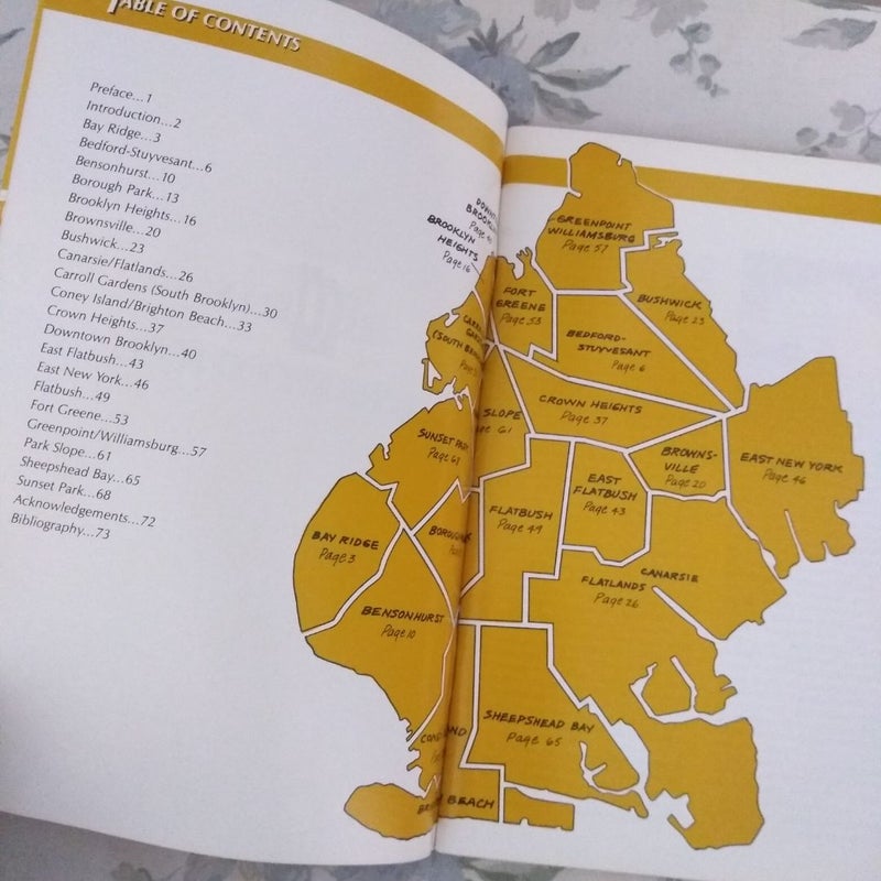 Brooklyn Neighborhood Book