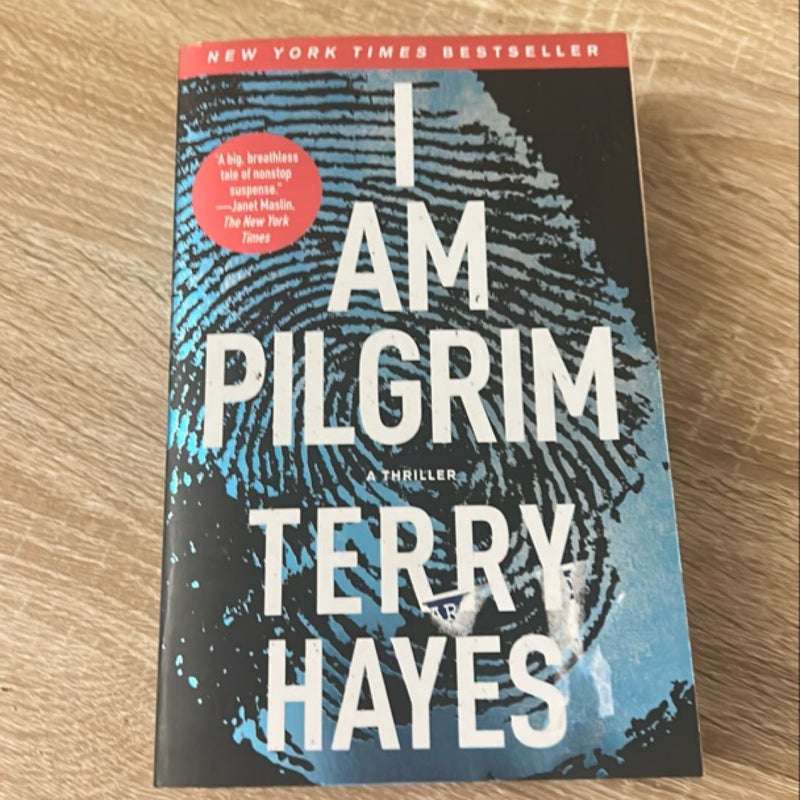 I Am Pilgrim