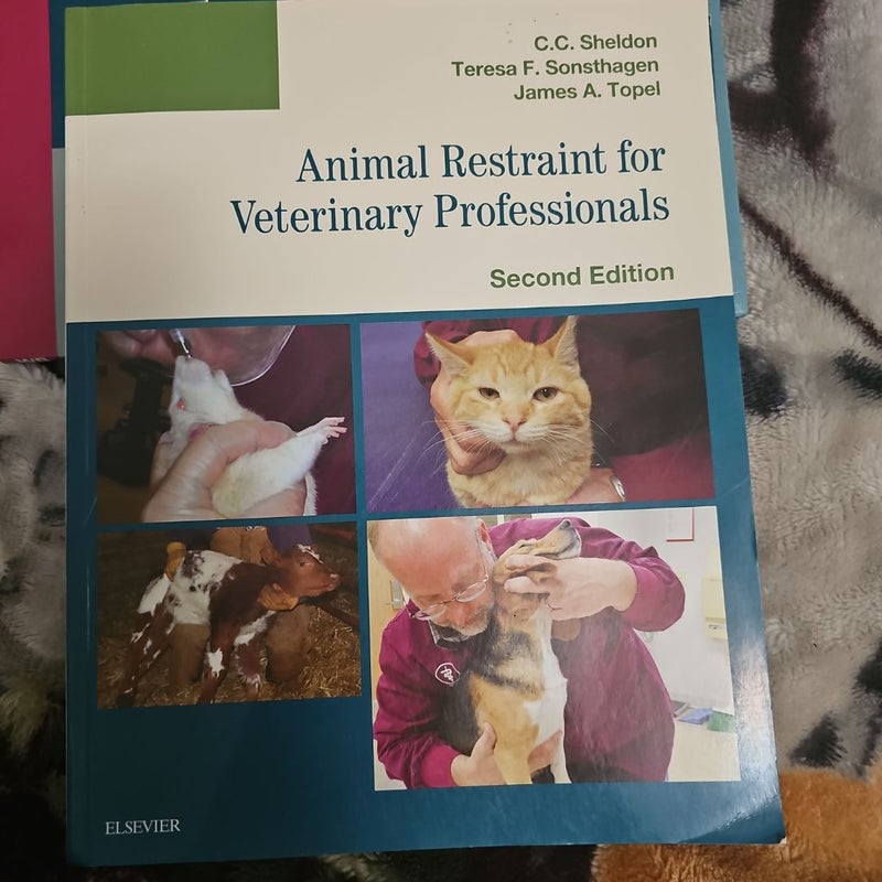 Animal Restraint for Veterinary Professionals