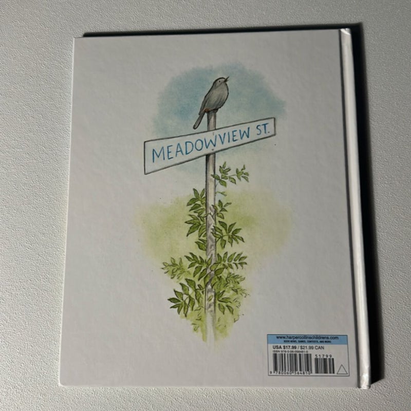 On Meadowview Street