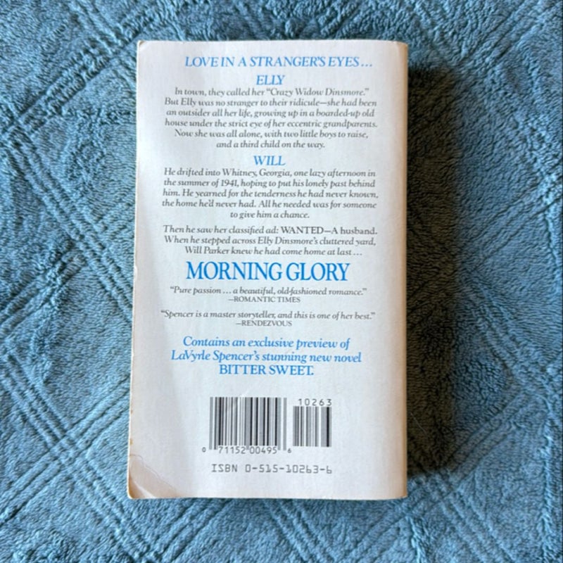 Morning Glory