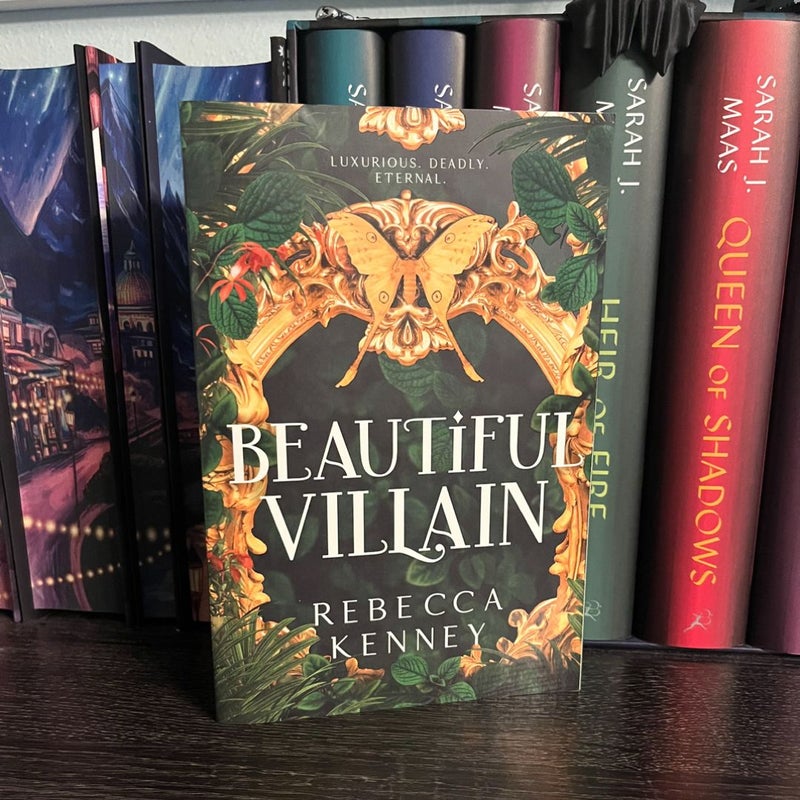 Beautiful Villain