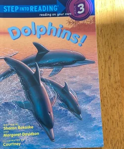 Dolphins!