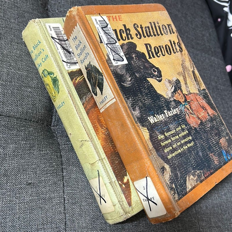 The Black Stallion Books