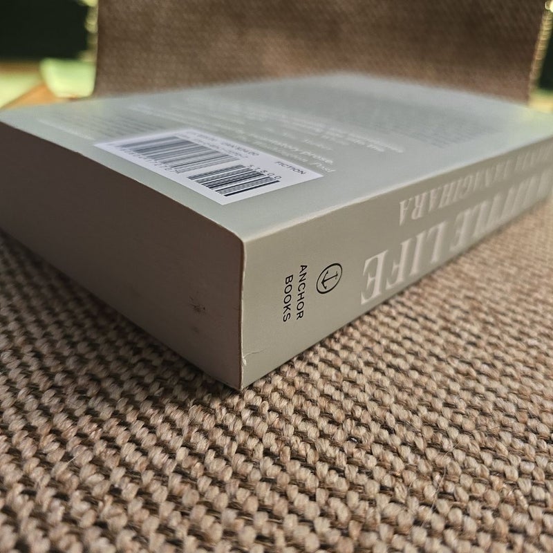 A Little Life