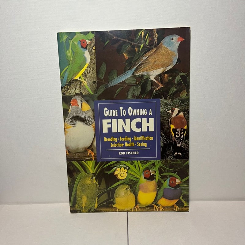 Guide to Owning a Finch