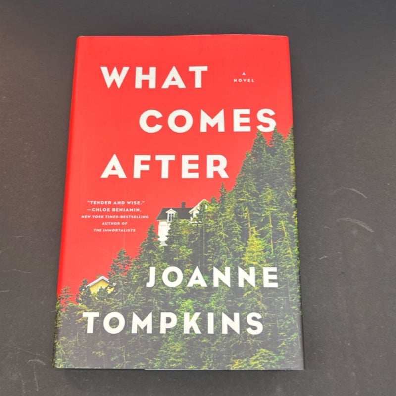 What Comes After