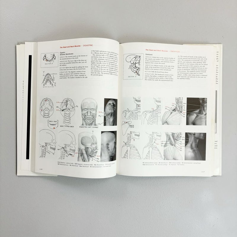 Human Anatomy for Artists {1991}