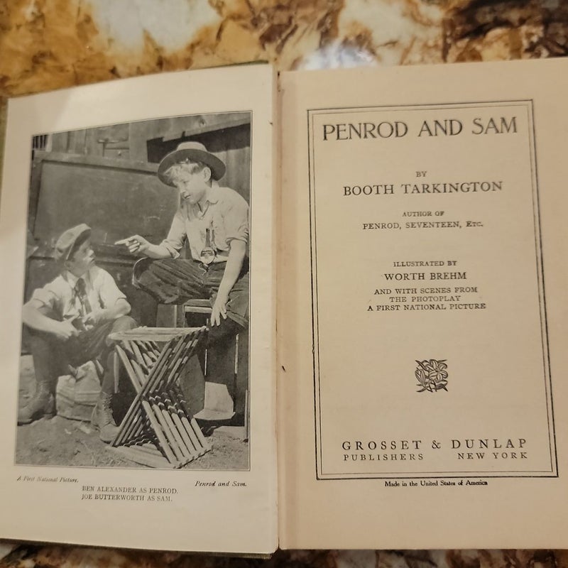 Penrod and Sam 1916