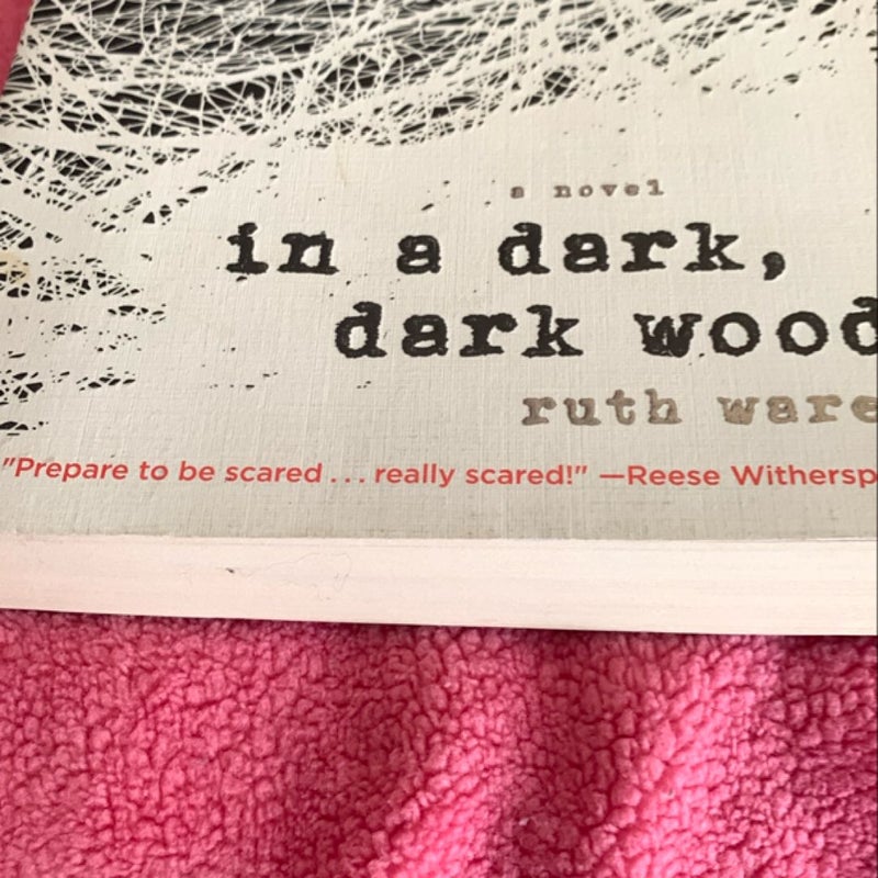 In a Dark, Dark Wood