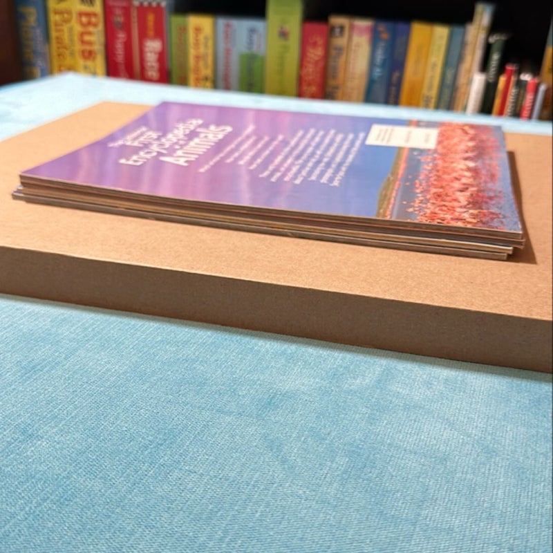 A lot of 4 “The Usborne First encyclopedia” books