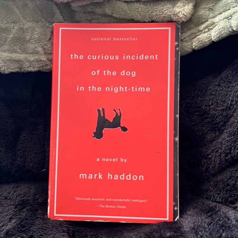 The Curious Incident of the Dog in the Night-Time