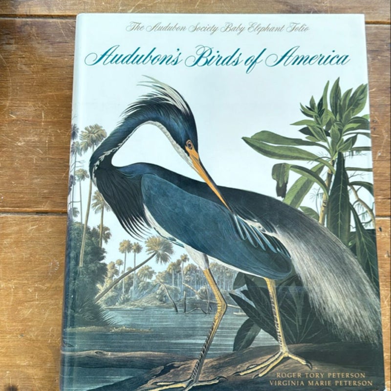 Audubon's Birds of America