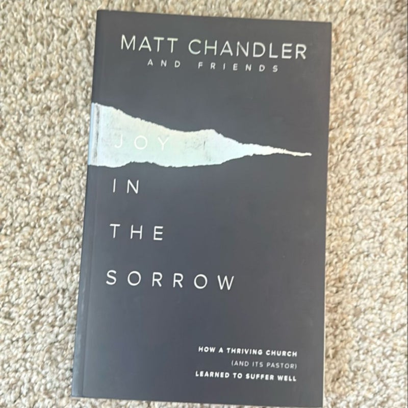 Joy in the Sorrow