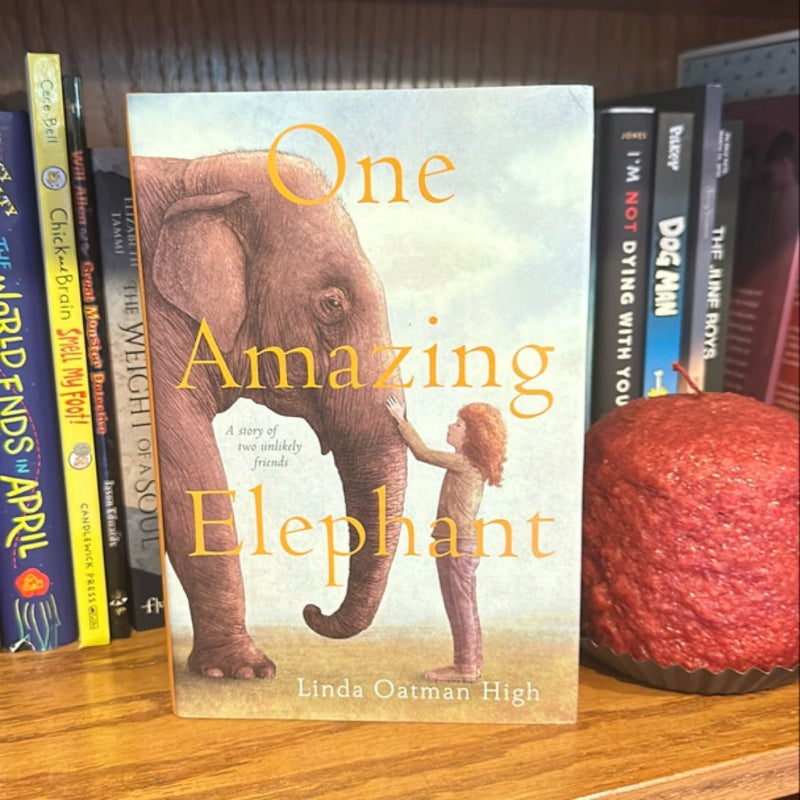 One Amazing Elephant