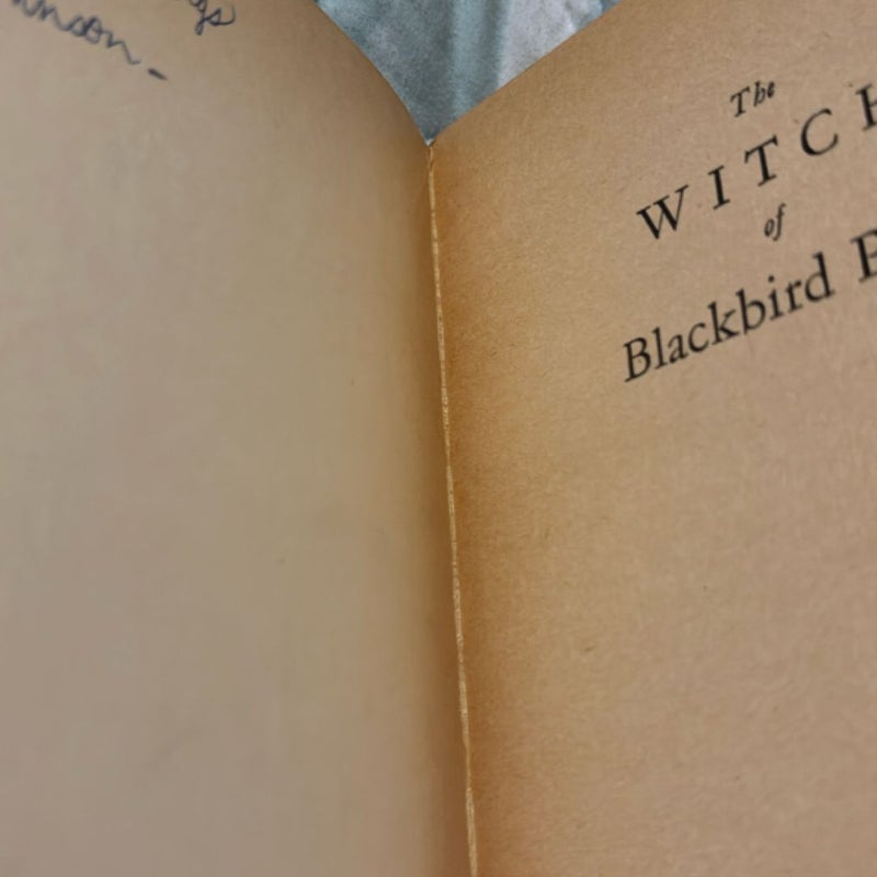 The Witch of Blackbird Pond