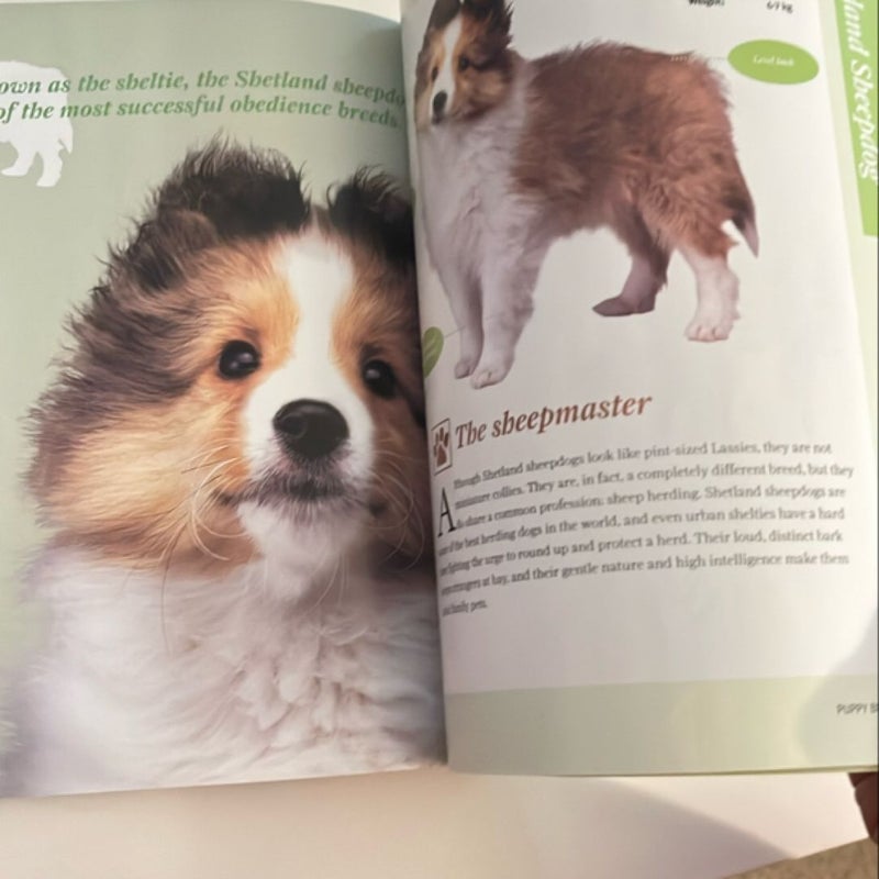 Pups The Official Nintendogs Companion by Paul Merrill, Paperback ...