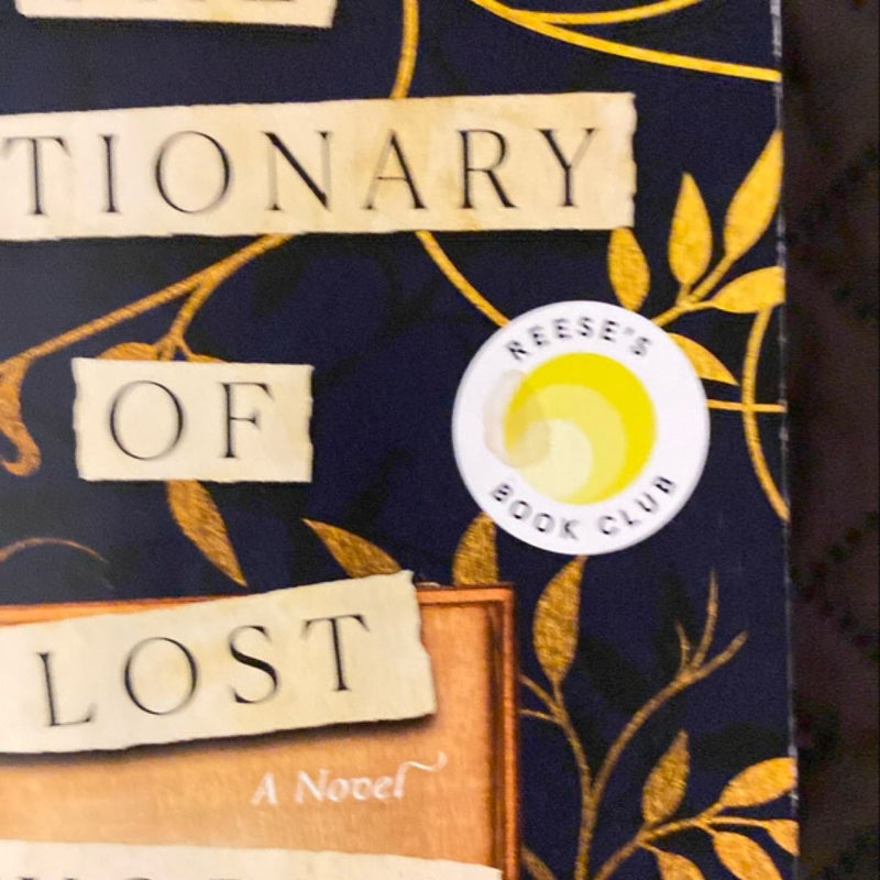 The Dictionary of Lost Words