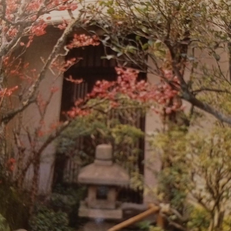 Courtyard Gardens of Kyoto