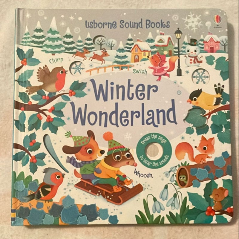 Winter Wonderland Sound Book