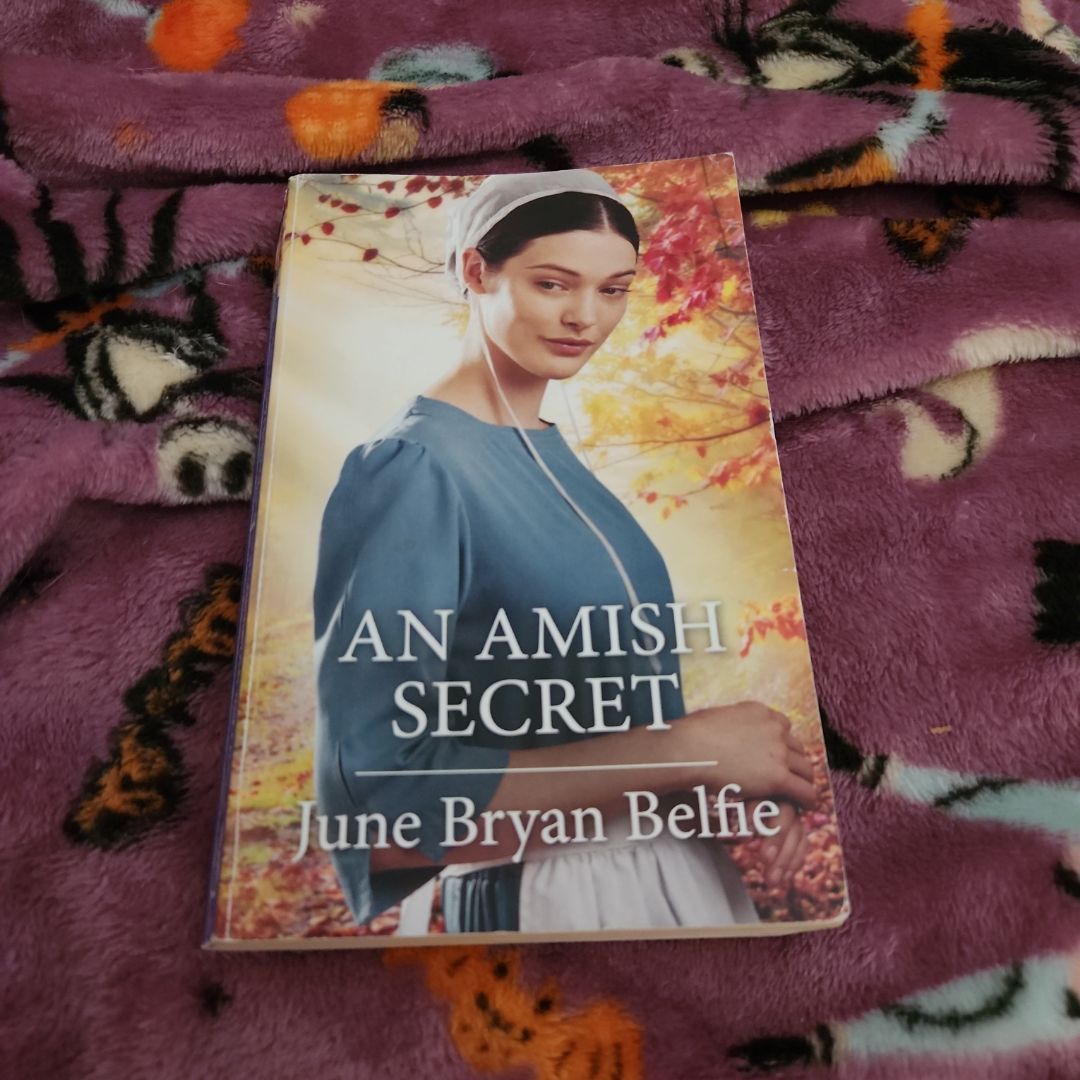 An Amish Secret