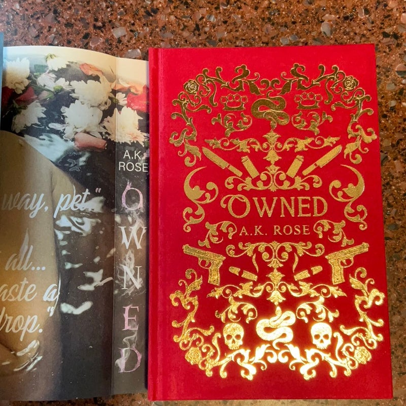 Owned (Baddies Book Box Special Edition)
