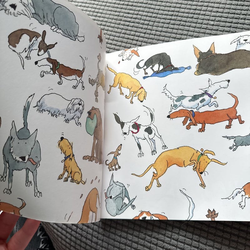 How to Talk to Your Dog