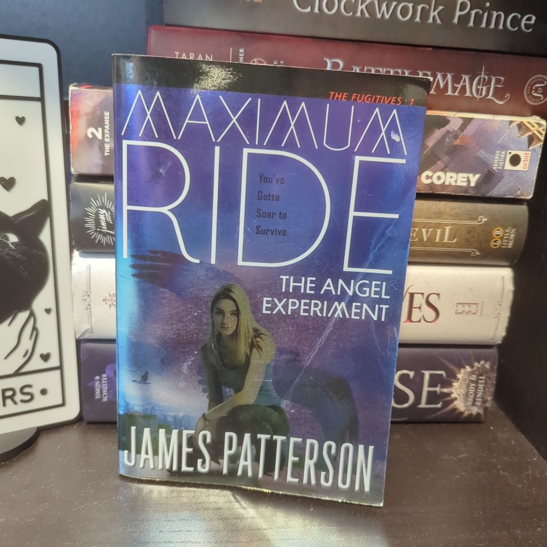 The Angel Experiment