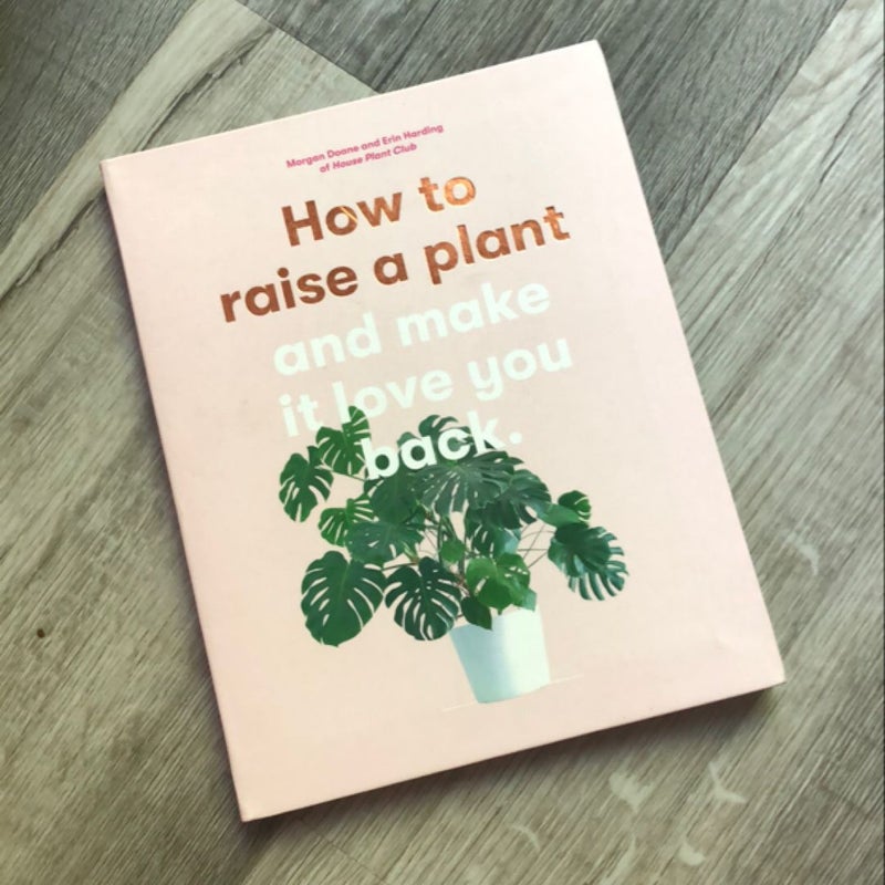 How to Raise a Plant