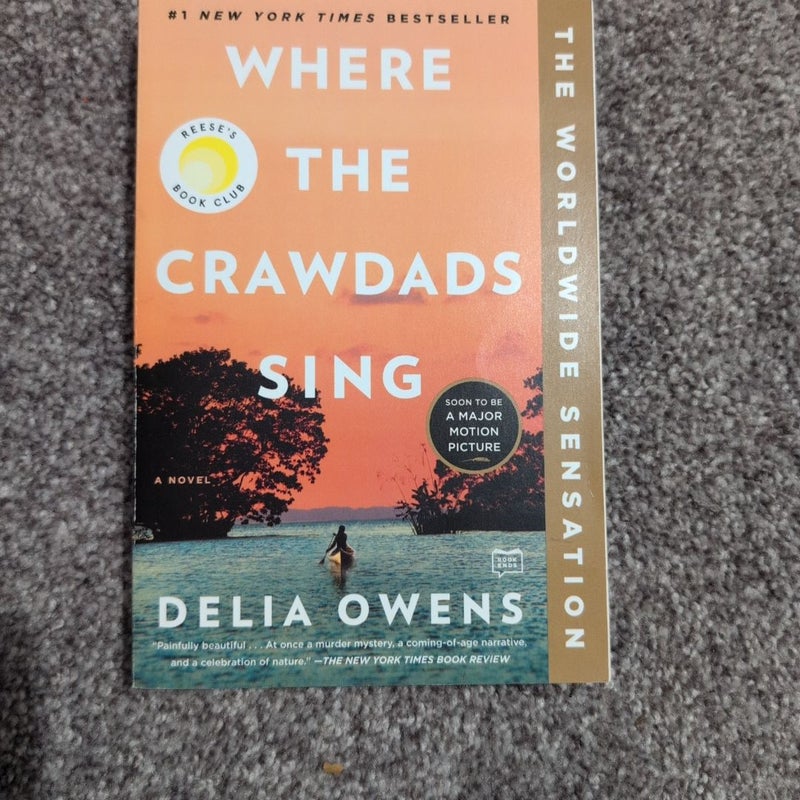 Where the Crawdads Sing