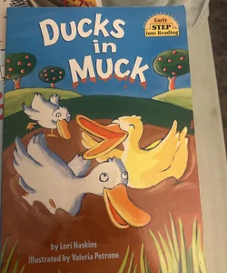 Ducks in Muck