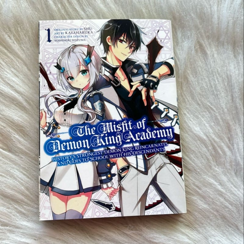 The Misfit of Demon King Academy