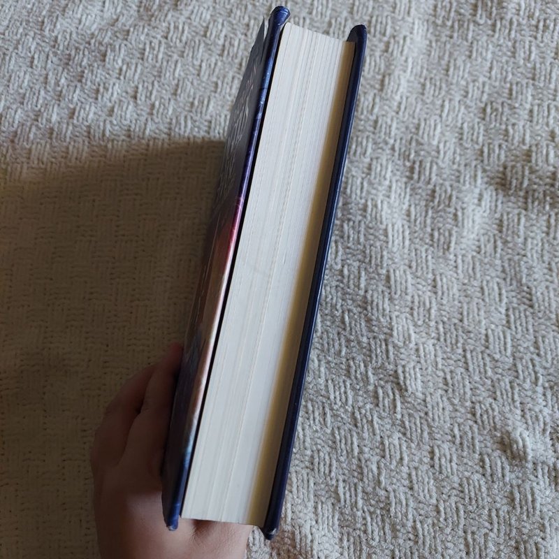 Magnus Chase and the Gods of Asgard