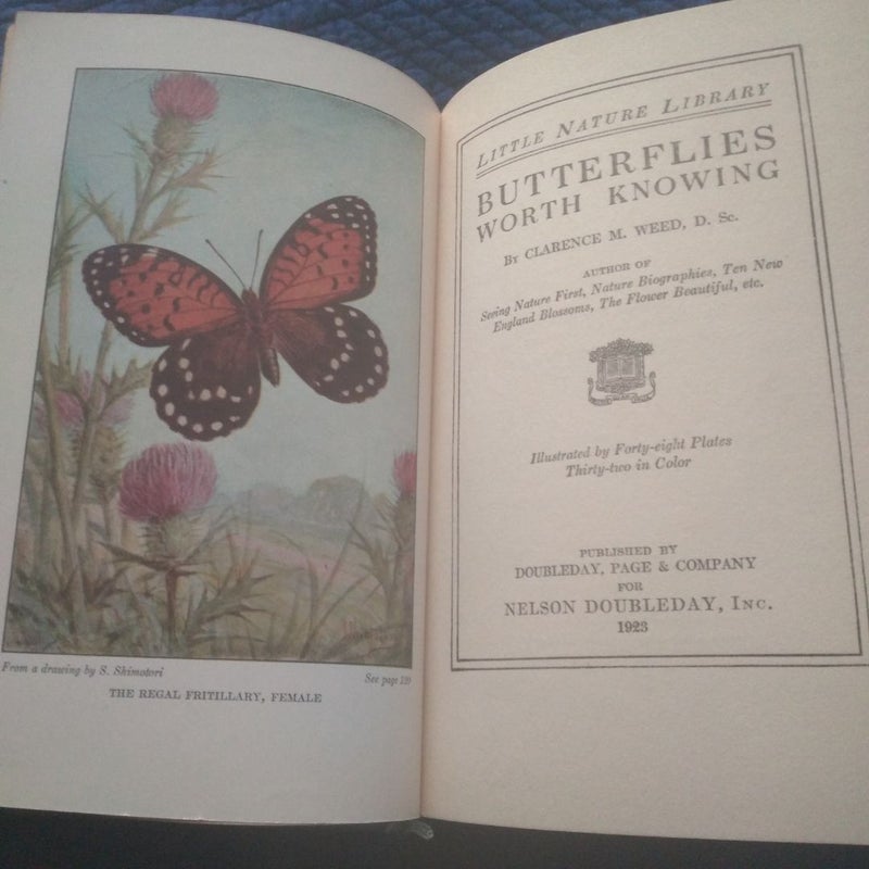 Butterflies Worth Knowing