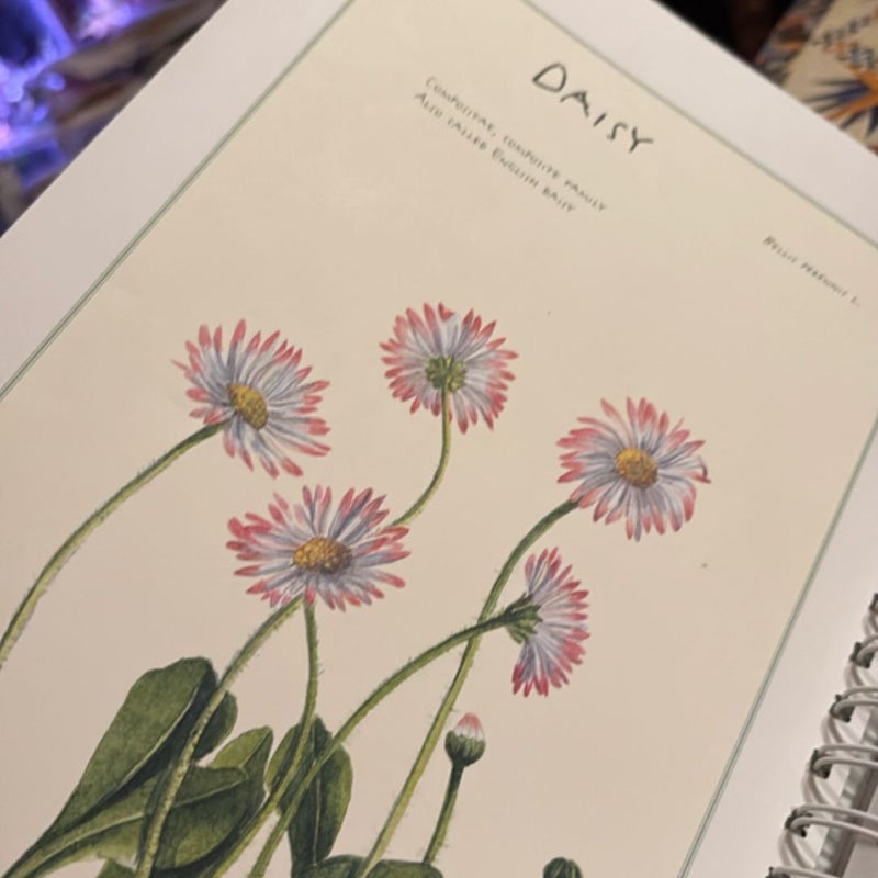 A Notebook of Flowers