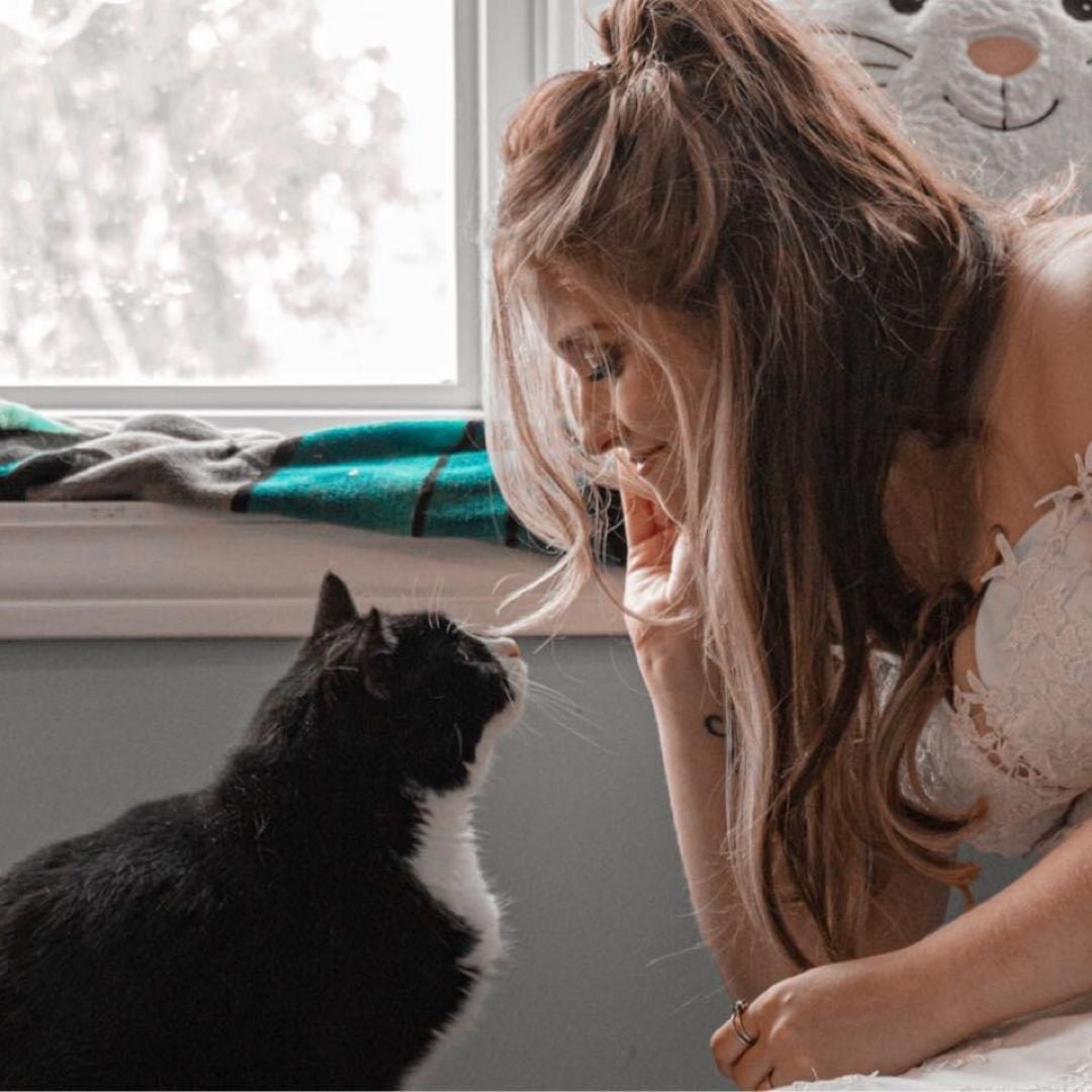 Taylorcatt
