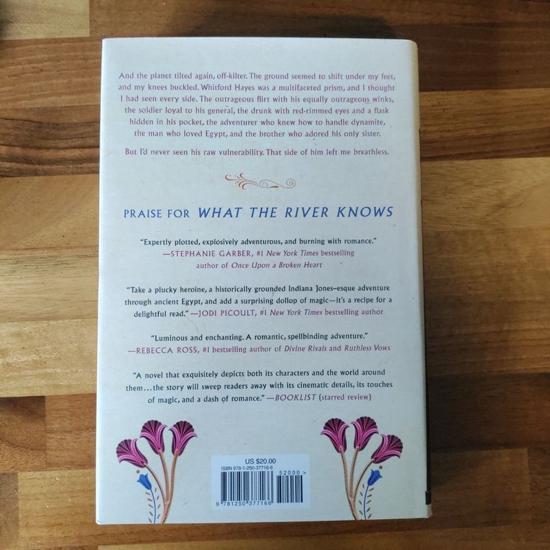 Where The Library Hides by Isabel Ibañez, Hardcover Pangobooks