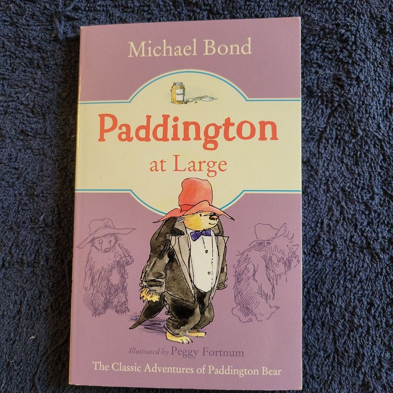 Paddington at Large 