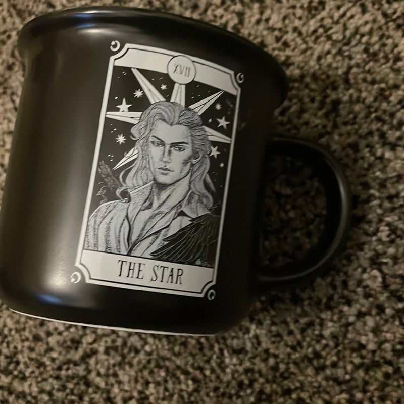 Bookish box, fall of ruins, and wrath mug 