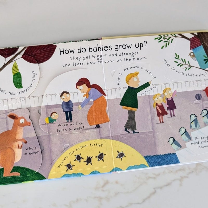 Lift-The-Flap First Questions and Answers Where Do Babies Come From?