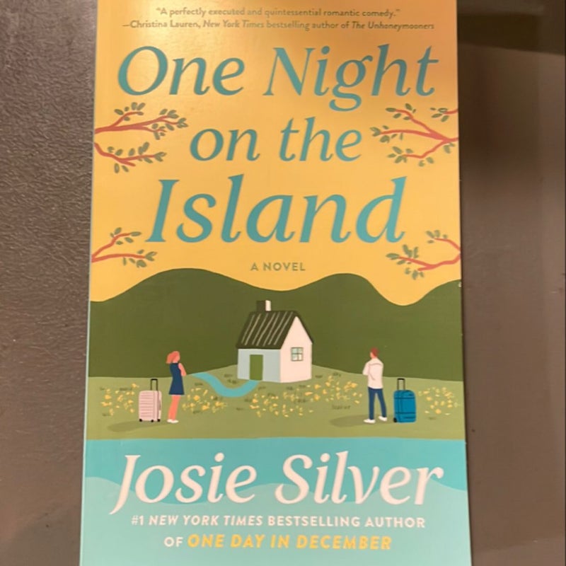 One Night on the Island