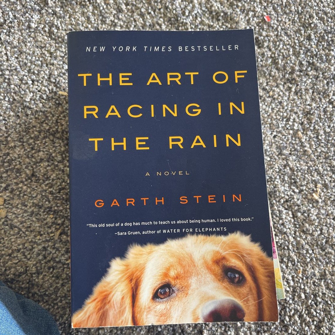 The Art of Racing in the Rain