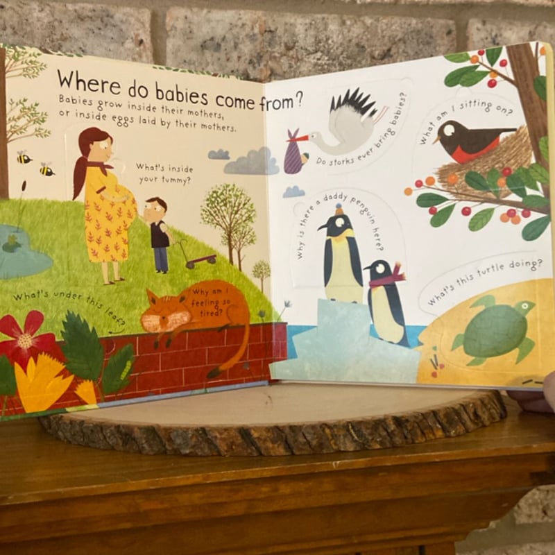 Lift-The-Flap First Questions and Answers Where Do Babies Come From?