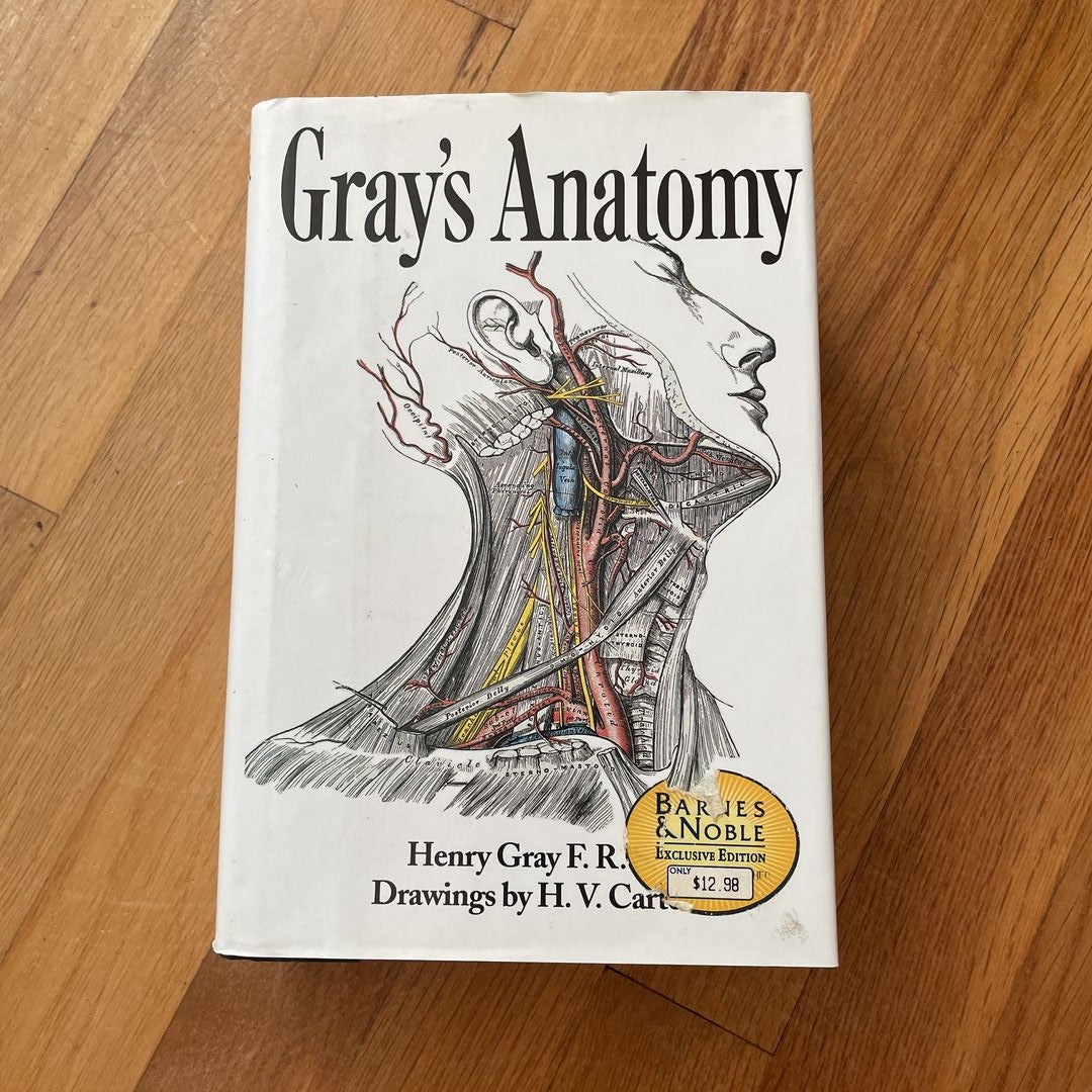 Gray's Anatomy